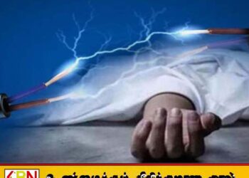 தாந்தாமலையில் மின்சாரம் தாக்கிய நபர் உயிரிழப்பு