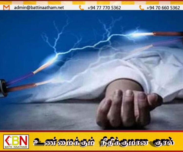 தாந்தாமலையில் மின்சாரம் தாக்கிய நபர் உயிரிழப்பு