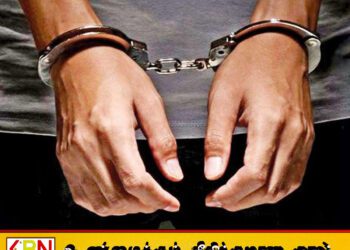 பாலாவி பகுதியில் பெருந்தொகை உலர்ந்த மஞ்சளுடன் ஒருவர் கைது