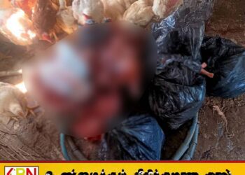 களுவாஞ்சிக்குடியில் கோழி இறைச்சிக்கடை மீது சட்ட நடவடிக்கை