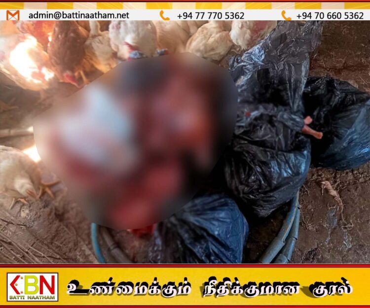 களுவாஞ்சிக்குடியில் கோழி இறைச்சிக்கடை மீது சட்ட நடவடிக்கை