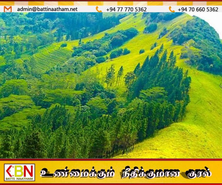 ஹந்தானை மலைப்பகுதியில் காணாமல்ப்போன யூடியூபர் மீட்கப்பட்டார்