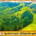ஹந்தானை மலைப்பகுதியில் காணாமல்ப்போன யூடியூபர் மீட்கப்பட்டார்