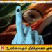 தமிழக சட்டமன்றத் தேர்தல்; நாளையுடன் நிறைவடையும் பிரச்சாரங்கள்!