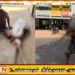 உயிரிழந்த தங்கையின் எலும்புக்கூட்டுடன் வங்கிக்குச் சென்ற அண்ணன்; ஒடிசாவில் நடந்த அதிர்ச்சிச் சம்பவம்!