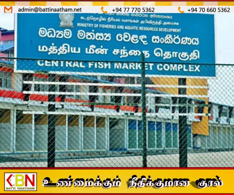 மீன் விலை குறைந்துள்ளது!