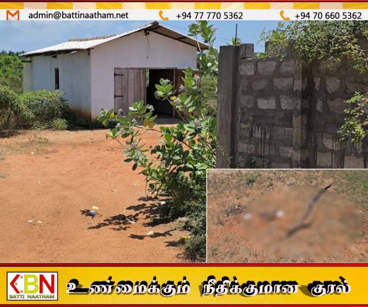 மன்னார் வீதியில் வீசப்படும் மனித உடல் பாகங்கள்
