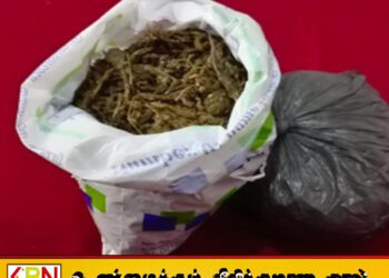 வவுனியாவில் கஞ்சாவுடன் இரு பொலிஸார் கைது!