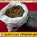 வவுனியாவில் கஞ்சாவுடன் இரு பொலிஸார் கைது!