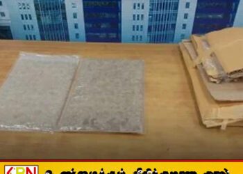 கட்டுநாயக்கவில் 2 கோடி ரூபா பெறுமதியான போதைப்பொருள் மீட்பு; இந்தியர் ஒருவர் கைது!
