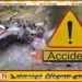 மோட்டார் சைக்கிள் மீது மரம் முறிந்து விழுந்து ஒருவர் உயிரிழப்பு!