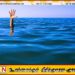 இரு சிறுவர்களைக் காப்பாற்றச் சென்ற தந்தை நீரில் மூழ்கிப் பலி