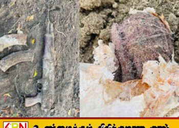 மண்ணில் புதையுண்ட நிலையில் கைக்குண்டு மற்றும் துப்பாக்கி மீட்பு!