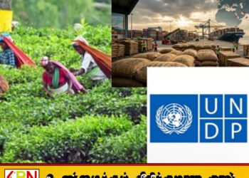 ஈரானுக்கு எதிரான போர்; தேயிலை ஏற்றுமதி தொடர்பில் (UNDP) வெளியிட்டுள்ள அறிக்கை
