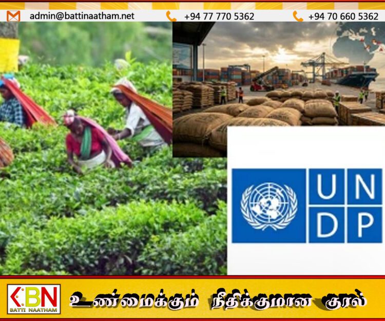 ஈரானுக்கு எதிரான போர்; தேயிலை ஏற்றுமதி தொடர்பில் (UNDP) வெளியிட்டுள்ள அறிக்கை
