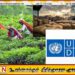 ஈரானுக்கு எதிரான போர்; தேயிலை ஏற்றுமதி தொடர்பில் (UNDP) வெளியிட்டுள்ள அறிக்கை
