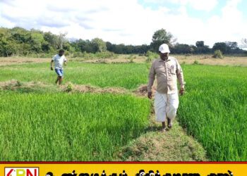 குருவிச்சை ஆற்றில் அணை அமைக்க கோரி விவசாயிகள் மனு!