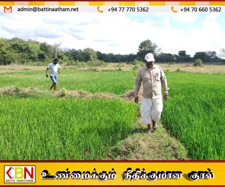 குருவிச்சை ஆற்றில் அணை அமைக்க கோரி விவசாயிகள் மனு!