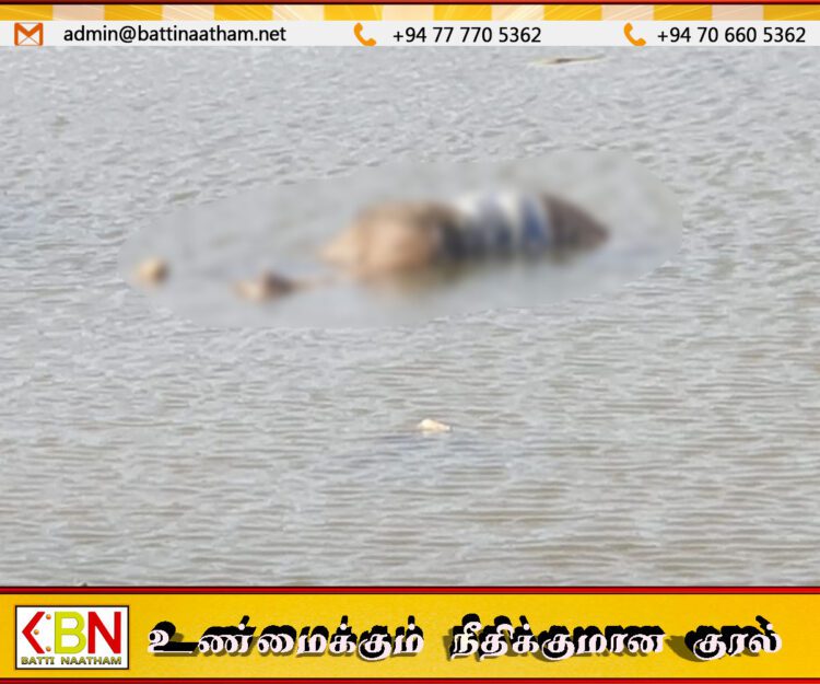 கம்பளையைச் சேர்ந்த ஹோட்டல் ஊழியர் கிரகரி வாவியில் சடலமாக மீட்பு; கொலையா? உயிர்மாய்ப்பா?