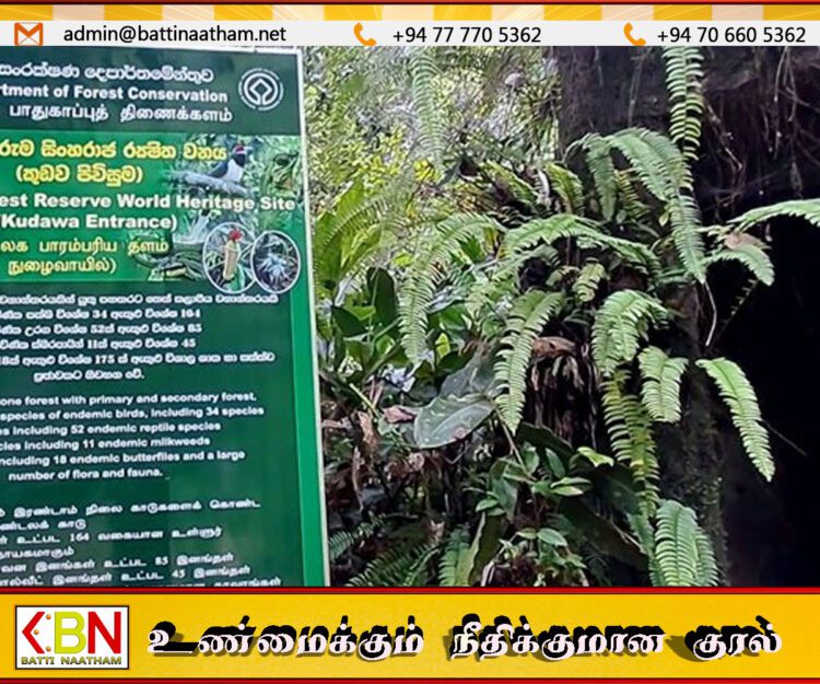 சுற்றுலாப் பயணிகளின் கவனத்திற்கு; நாளை முதல் 6 நாட்களுக்கு சிங்கராஜ வனம் மூடப்படும்!