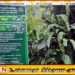 சுற்றுலாப் பயணிகளின் கவனத்திற்கு; நாளை முதல் 6 நாட்களுக்கு சிங்கராஜ வனம் மூடப்படும்!