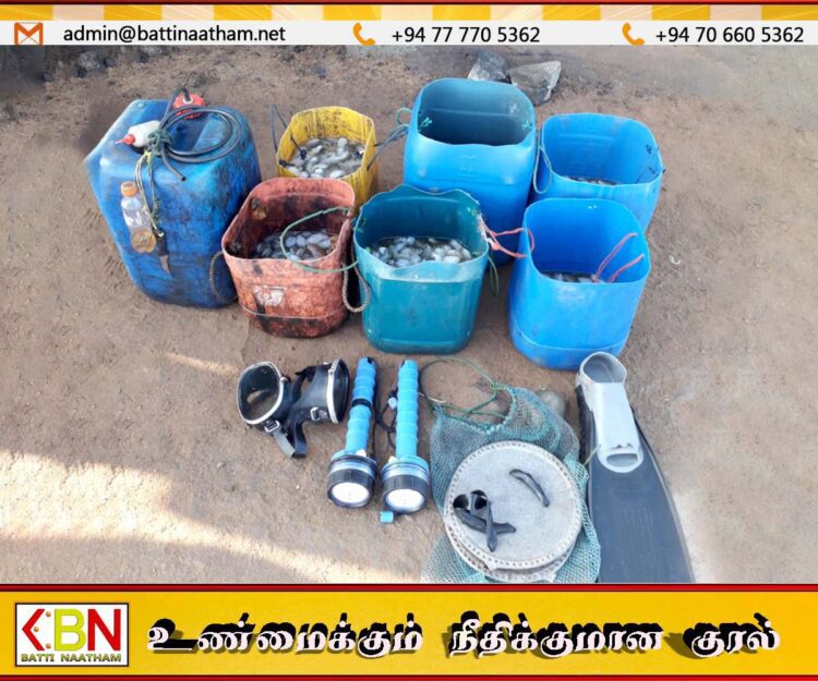 கடல் அட்டைகளுடன் 36 பேரை கைது செய்த கடற்படையினர்!