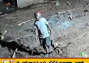 வவுனியாவில் பெண்ணின் வாழ்வாதாரத்தை இல்லாமல் செய்த மர்ம நபர்