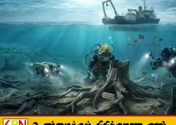 கடலுக்கடியில் 16 ஆயிரம் ஆண்டுகளுக்கு முந்தைய அடர்ந்த காடு; மனித நாகரிகம் வாழ்ந்திருக்கலாம் என சந்தேகம்