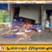 செங்கலடி நகருக்குள் யானை ஊடுருவி கடைகள் சேதம்; மக்கள் பெரும் அச்சத்தில்