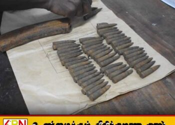 கந்தளாயில் துப்பாக்கி தோட்டாக்கள் மீட்பு