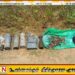 ஈச்சிலம்பற்று பொலிஸ் பிரிவில் வாய்க்காலில் இருந்து ஆயுதங்கள் மீட்பு