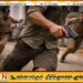 ஏறாவூர் நீதிமன்ற வளாகத்தில் பொலிஸின் துப்பாக்கியை பறித்துக்கொண்டு ஓடிய ஓட்டமாவடி நபர்