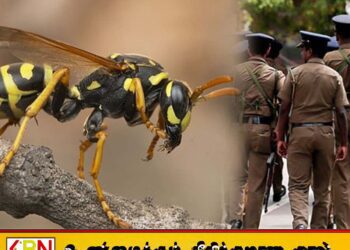 கசிப்பு உற்பத்தியை நிலையத்தை சுற்றிவளைக்க சென்ற பொலிஸார் மீது குளவிக் கொட்டு தாக்குதல்