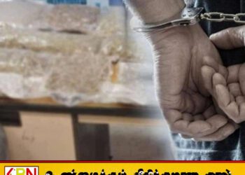 கட்டுநாயக்கவில் 80 மில்லியன் ரூபா ‘குஷ்’ போதைப்பொருள் மீட்பு!