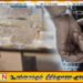 கட்டுநாயக்கவில் 80 மில்லியன் ரூபா ‘குஷ்’ போதைப்பொருள் மீட்பு!
