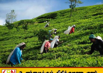 பெருந்தோட்டத் தொழிலாளர்களின் பாதுகாப்பு குறித்து நாளை நாடாளுமன்றத்தில் அவசரக் கூட்டம்!