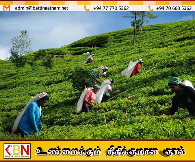 பெருந்தோட்டத் தொழிலாளர்களின் பாதுகாப்பு குறித்து நாளை நாடாளுமன்றத்தில் அவசரக் கூட்டம்!