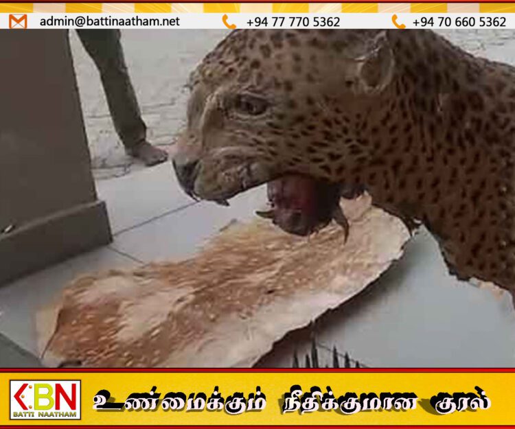 முன்னாள் DIG-யின் காணியில் சிறுத்தை தோல், துப்பாக்கி ரவைகள் மீட்பு; புத்தளத்தில் அதிரடிச் சுற்றிவளைப்பு!