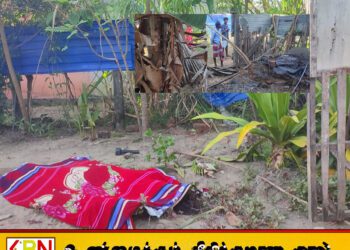 காட்டு யானை தாக்குதலில் தாய் உயிரிழப்பு; போரதீவுப்பற்றில் நிகழ்ந்த சோகம்!