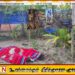 காட்டு யானை தாக்குதலில் தாய் உயிரிழப்பு; போரதீவுப்பற்றில் நிகழ்ந்த சோகம்!