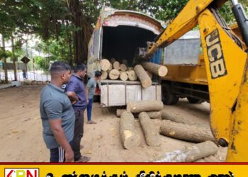யாழில் அனுமதிப்பத்திரமின்றி முதிரைமரக்குற்றிகளை ஏற்றிச்சென்ற ஒருவர் கைது!