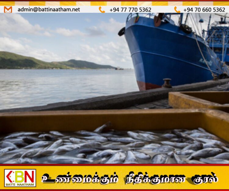 அமெரிக்காவிற்கு மீன் ஏற்றுமதி தடைகள் நீக்கம்; இலங்கைக்கு கடல் நண்டு ஏற்றுமதி அனுமதி
