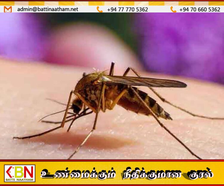 கடந்த ஆண்டில் நாட்டில் 68 யானைக்கால் நோய் நோயாளிகள் அடையாளம்!