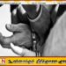 விளையாட்டுத் துப்பாக்கியைக் காட்டி இளம் பெண்ணை கடத்த முயன்ற நபர் கைது!