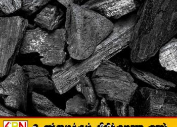 17 ஆண்டு கால நிலக்கரி இறக்குமதி ஊழல்; ஜனாதிபதி விசாரணை ஆணைக்குழு தனது பணிகளை ஆரம்பித்தது!