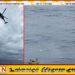புளோரிடா கடலில் விழுந்த விமானம்; 11 பயணிகள் மயிரிழையில் உயிர் தப்பினர்!