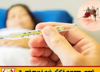 இலங்கையில் டெங்கு அபாயம்; 25,082 பேருக்கு தொற்று, 12 பேர் பலி!