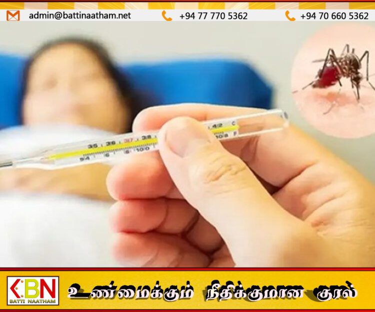 இலங்கையில் டெங்கு அபாயம்; 25,082 பேருக்கு தொற்று, 12 பேர் பலி!