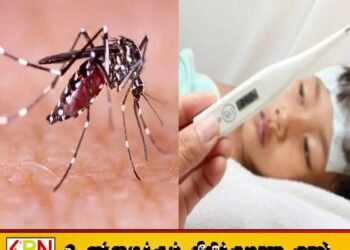 இலங்கையில் மீண்டும் டெங்கு, மலேரியா அச்சுறுத்தல்; ஐந்து மாதங்களில் 14 மரணங்கள் பதிவு!