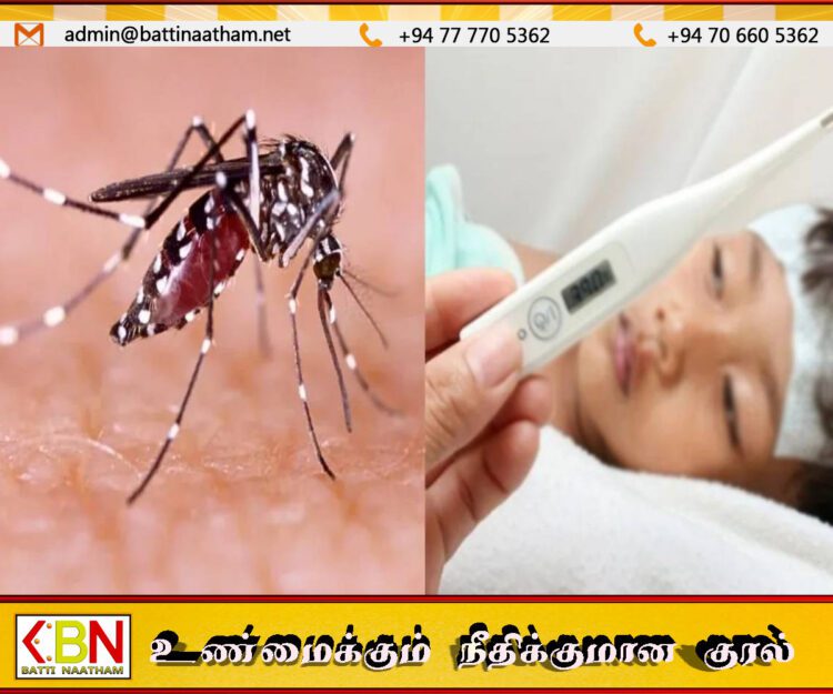 இலங்கையில் மீண்டும் டெங்கு, மலேரியா அச்சுறுத்தல்; ஐந்து மாதங்களில் 14 மரணங்கள் பதிவு!